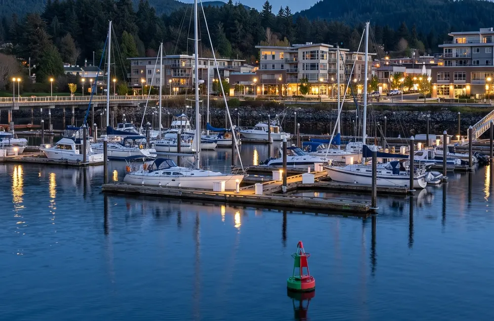 Marina at blue hour below forested hills