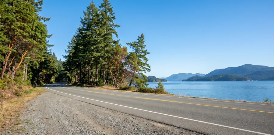 Coastal highway between fir trees and the sea